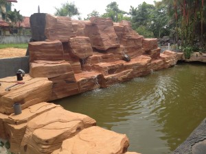 Waterfall koi pond
