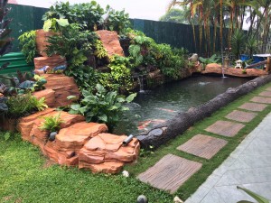 Waterfall koi pond 3
