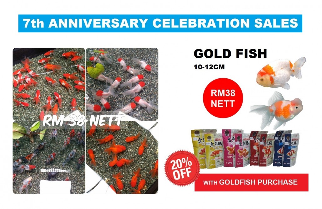 GoldFish Sales