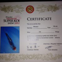 1Rinyukai Indonesia Super Koi Show 2012 Shushui 18cm