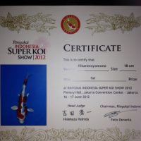 3Rinyukai Indonesia Super Koi Show 2012 Hikarimoyomono 18cm
