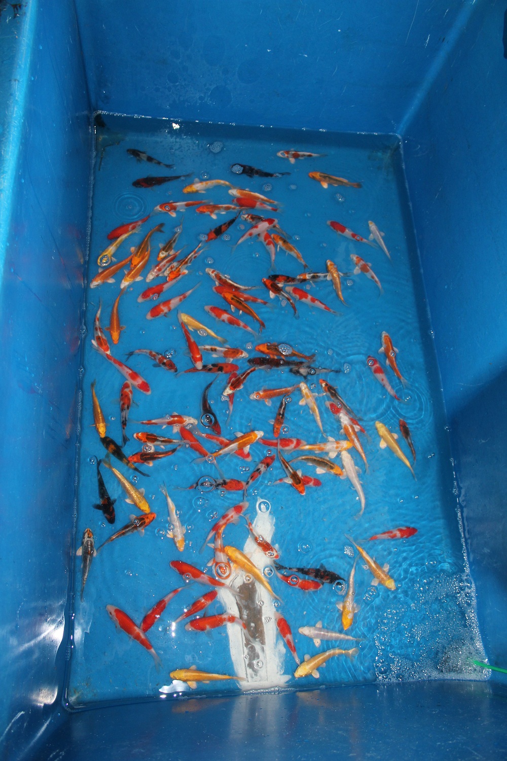 Shipment-0102201304