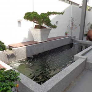 Koi Pond @ Twin Palms, Sg. Long