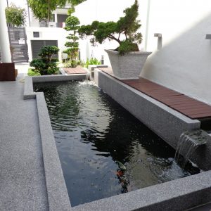 Koi Pond @ Twin Palms, Sg. Long