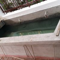Pond Curing Process