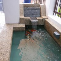Completed Pond
