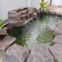 Koi Pond at Denai Alam 1